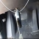 1FMSK8DH3PGA23271 2023 Ford Explorer Xlt auction photo thumbnail 11