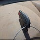 2A4RR5D18AR141476 2010 Chrysler Town & Country Touring auction photo thumbnail 11
