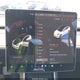 5YJ3E1EC2LF627456 2020 Tesla Model 3 Performance Dual Motor All-Wheel Drive auction photo thumbnail 7