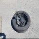 2C3CDXMG9PH632491 2023 Dodge Charger Gt Awd auction photo thumbnail 12
