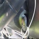 5TDBKRFH8GS330707 2016 Toyota Highlander Le Plus V6 auction photo thumbnail 11