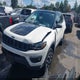 3C4NJDDB9KT759810 2019 Jeep Compass Trailhawk 4X4 auction photo thumbnail 2