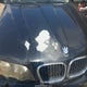5UXFA53593LV94830 2003 BMW X5 3.0I auction photo thumbnail 6