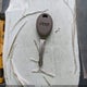 1J4GW58N52C132497 2002 Jeep Grand Cherokee Limited auction photo thumbnail 11