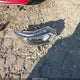 JN1BJ1AW2MW424025 2021 Nissan Rogue Sport S Awd Xtronic Cvt auction photo thumbnail 11