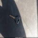 1B7HC16Z2WS612252 1998 Dodge Ram 1500 St auction photo thumbnail 11