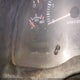 1B7HC16Z2WS612252 1998 Dodge Ram 1500 St auction photo thumbnail 7