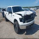 1FTEW1C84AFB19339 2010 Ford F-150 Xlt auction photo thumbnail 1