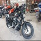 1HD1LC319DC450511 2013 Harley-Davidson Xl1200 Forty-Eight auction photo thumbnail 1