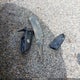 1FM5K8D86DGB25818 2013 Ford Explorer Xlt auction photo thumbnail 12