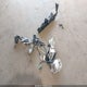 JTHCK262795034706 2009 Lexus Is 250 auction photo thumbnail 12