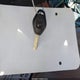 5UXFA13506LY30746 2006 BMW X5 3.0I auction photo thumbnail 11