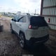 1C4PJMDX5KD334529 2019 Jeep Cherokee Limited 4X4 auction photo thumbnail 3