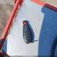 2D8HN44E09R581490 2009 Dodge Grand Caravan Se auction photo thumbnail 11