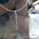 4S2CY58Z5N4318786 1992 Isuzu Rodeo S/Ls/Xs auction photo thumbnail 11