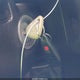 JF1GE6A69AH515478 2010 Subaru Impreza 2.5I auction photo thumbnail 11