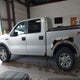 1FTPW14VX8FA45979 2008 Ford F-150 60Th Anniversary/Fx4/King Ranch/Lariat/Xlt auction photo thumbnail 14