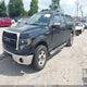 1FTPX14V49FA96733 2009 Ford F-150 Fx4/Lariat/Xl/Xlt auction photo thumbnail 2
