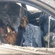 5XYPH4A56HG293367 2017 Kia Sorento 3.3L Ex auction photo thumbnail 5