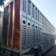 1W1K65122P5563218 2023 Wilson Trailer Co Livestock auction photo thumbnail 4