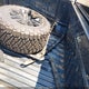 1GTU9CED4LZ106195 2020 GMC Sierra 1500 4Wd Short Box Elevation auction photo thumbnail 12