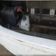 1F6NF53Y660A00261 2006 Ford F550 Super Duty Stripped Chass auction photo thumbnail 6
