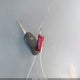 1FTMF1CM2EKE98539 2014 Ford F-150 Xl auction photo thumbnail 11
