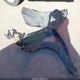 1FTFW1EFXBFB16298 2011 Ford F-150 Xlt auction photo thumbnail 12