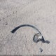 1FM5K8F83EGA11872 2014 Ford Explorer Limited auction photo thumbnail 12