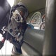 1GKDT13S142337366 2004 GMC Envoy Slt auction photo thumbnail 6