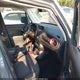 ZACCJBCT5FPB89811 2015 Jeep Renegade Trailhawk auction photo thumbnail 5