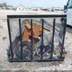 5JW1U1429S1458511 2025 Other Other auction photo thumbnail 8