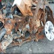 1V25C2CA5LC205344 2020 Volkswagen Atlas Cross Sport auction photo thumbnail 10
