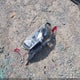 3TMCZ5AN0KM213069 2019 Toyota Tacoma Trd Sport auction photo thumbnail 11
