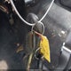 1C6RD6LT6CS145564 2012 Ram 1500 Slt auction photo thumbnail 11