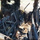 4M2DU86W84ZJ36601 2004 Mercury Mountaineer auction photo thumbnail 8