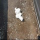 5N1BT3AA6RC757646 2024 Nissan Rogue S Fwd auction photo thumbnail 12