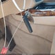 5UXZV8C55CL422524 2012 BMW X5 xDrive50I auction photo thumbnail 11