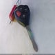 1NXBU4EE2AZ353080 2010 Toyota Corolla Le auction photo thumbnail 11