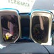 2G1FE1E35E9129782 2014 Chevrolet Camaro 1Ls auction photo thumbnail 7