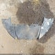 1G1ZH57BX9F253317 2009 Chevrolet Malibu Lt auction photo thumbnail 12
