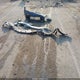 JTDKN3DU5D1729958 2013 Toyota Prius Four auction photo thumbnail 12
