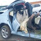 1C3CDZAG2DN769890 2013 Dodge Avenger Se V6 auction photo thumbnail 8