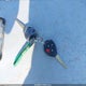 5YFBU4EE4DP181219 2013 Toyota Corolla Le auction photo thumbnail 11
