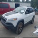 1C4PJMBB8GW146185 2016 Jeep Cherokee Trailhawk auction photo thumbnail 2