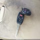 5KBCP3F84AB017086 2010 Honda Accord 3.5 Ex-L auction photo thumbnail 11