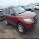 5NMSG73D29H312264 2009 Hyundai Santa Fe Gls auction photo thumbnail 1