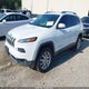 1C4PJMDS5FW751874 2015 Jeep Cherokee Limited auction photo thumbnail 2