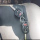 4S4BRBKC4B3344526 2011 Subaru Outback 2.5I Limited auction photo thumbnail 11