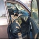 2GNALCEK5G6278439 2016 Chevrolet Equinox Lt auction photo thumbnail 5